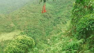 ���ोलंबियन वन देणे भाषा आणि Fucked अनोळखी स्त्री पुरुष समागम बदल्यात आर्थिक मदत.