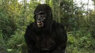 King Dong&amp;#039;s 40oz de Rebote!